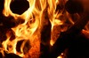 E_80_Feuerscheite_2