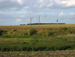 10_Voegel_C.jpg