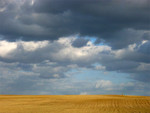 12_Feld_Abendlicht_C.jpg