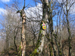 09_Westweg.jpg