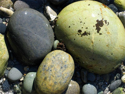 Steineier