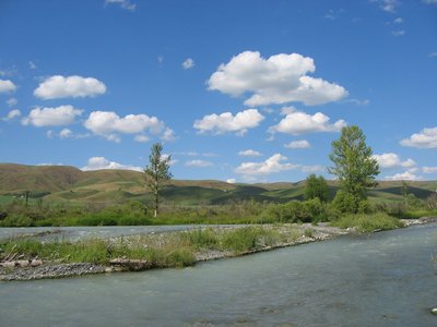 Flusslandschaft