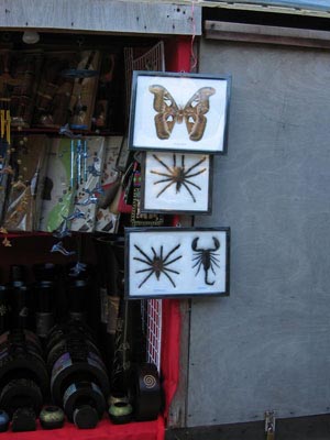 Kleingetier